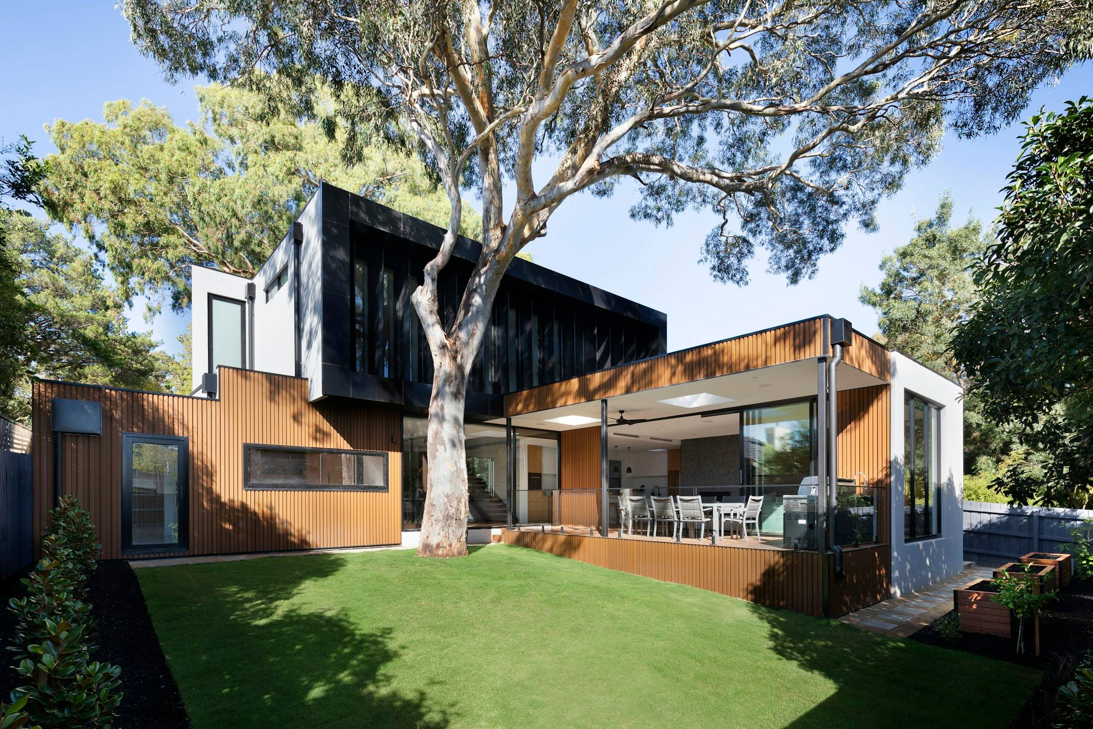Modern two-story home with vertical wood siding and a covered patio beneath a large shade tree